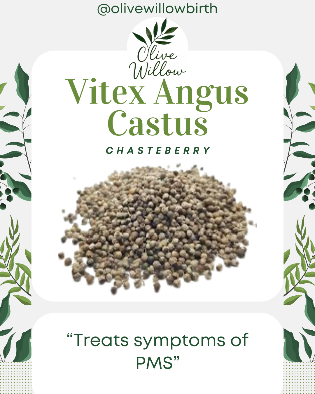 Whole, Premium Chasteberries | Vitex agnus-castus | 1 oz Resealable Bag