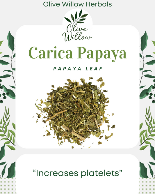 Dried Papaya Leaf | Carica papaya | Herbal Wellness Tea | Resealable Bag