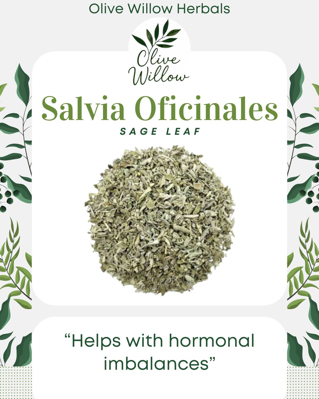 Dried Sage Leaf | Salvia officinalis | Culinary & Herbal Use | Resealable Bag