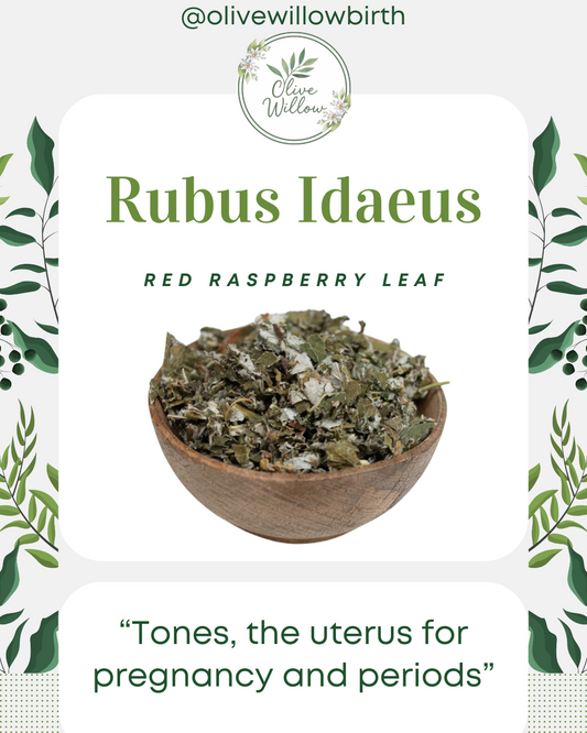 Red Raspberry Leaf | Rubus idaeus | Loose Herbal Tea | Resealable Bag