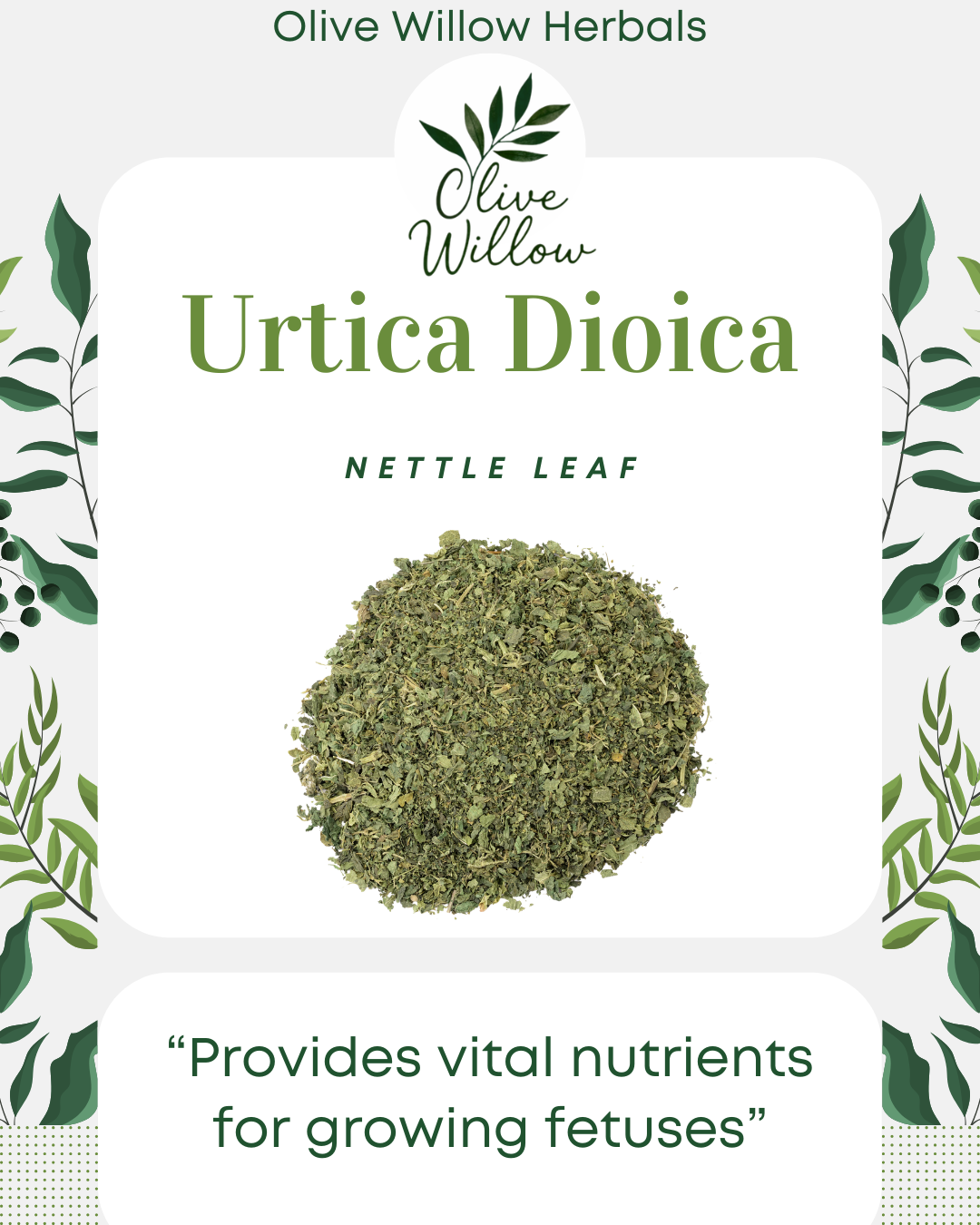 Organic Nettle Leaf | Urtica dioica | Herbal Tea & Tonic | Resealable Bag