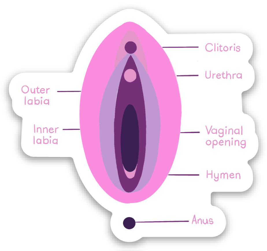 Water Proof Vinyl Stickers